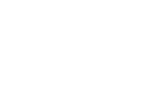 Aegis Financial 2026